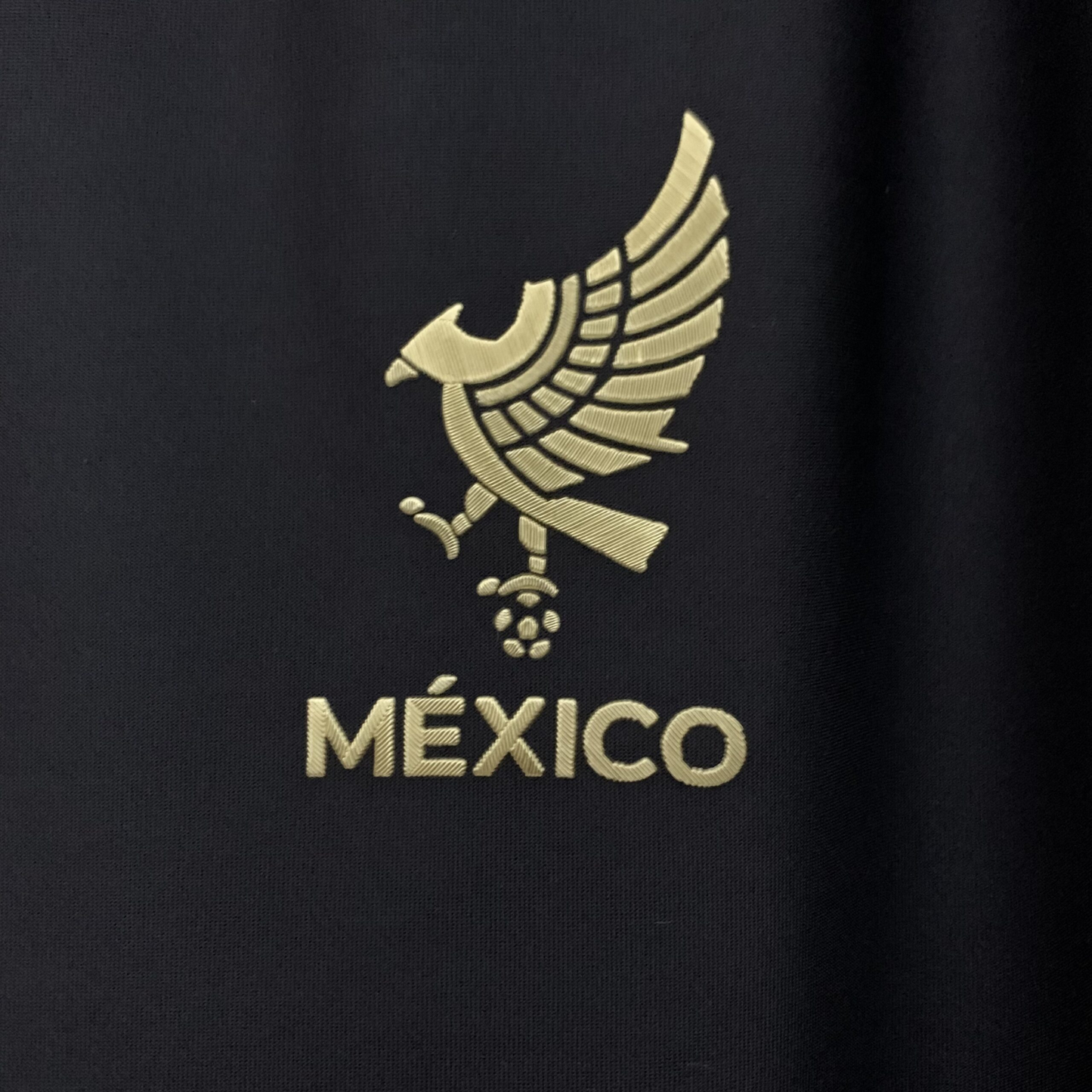 México 2025 - Local