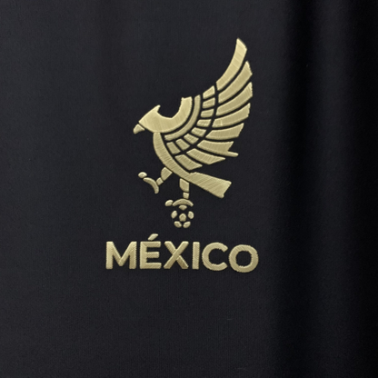 México 2025 - Local