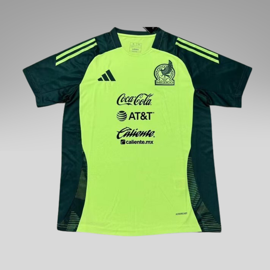 México 2026 - Training