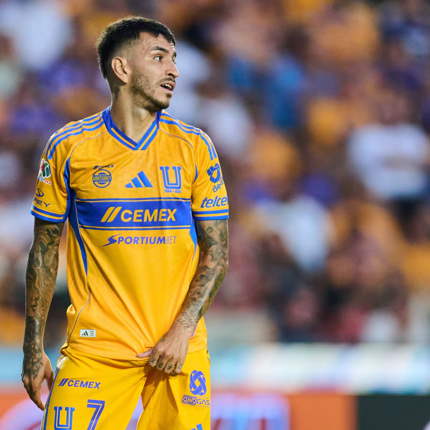 Tigres UANL 2025/2026 - Local